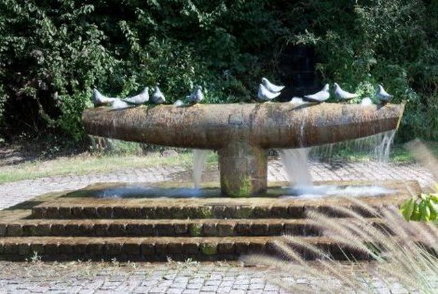 Pigeon Fountain, Thannhausen/Germany
